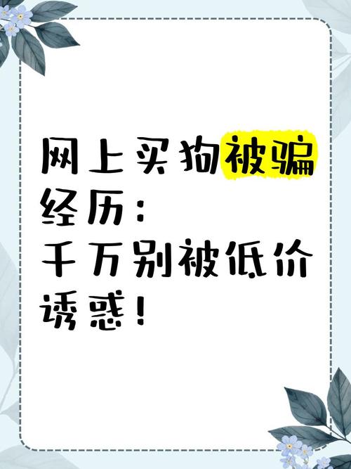 1元涨1000点赞网站低价诱惑背后的真相