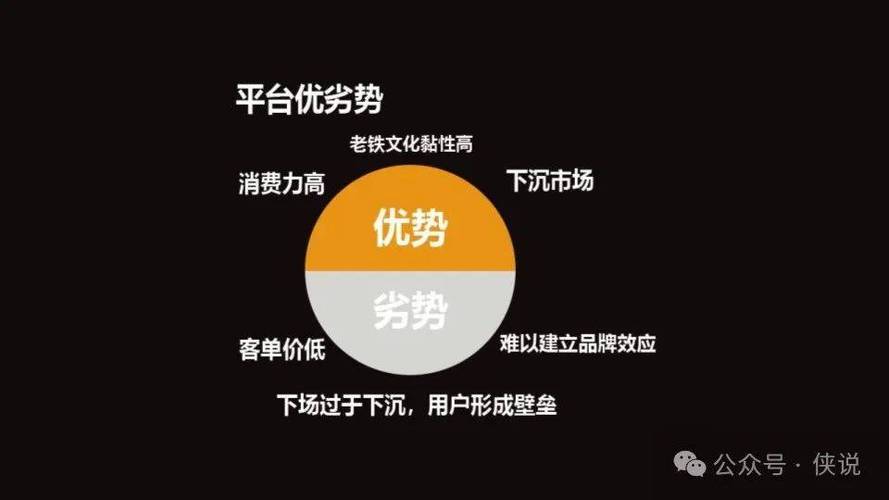 快手生态下的流量变现新路径,24小时在线自助点赞平台的行业价值与运营逻辑