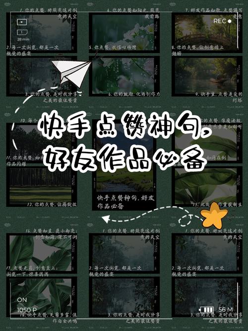 快手点赞量激增，解析高点赞背后的行业价值与战略优势