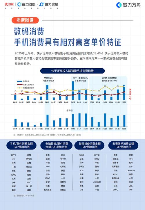 快手业务平台24小时在线服务,数字化生态下的即时响应与行业价值重构