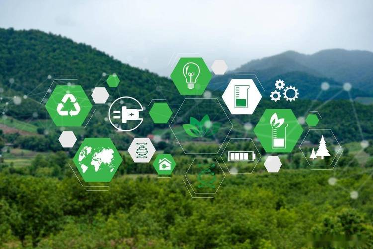 24小时自助下单模式,解锁全网最低价服务新生态的行业洞察