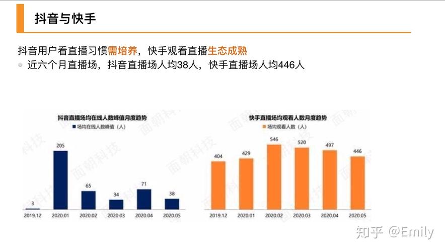 快手视频粉丝经济,深度解析用户增长与商业价值转化路径