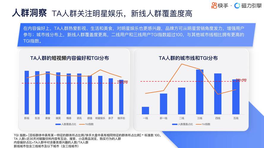 快手粉丝增长新路径,低价网站/平台的市场生态与行业影响分析