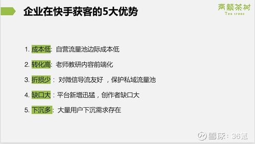 快手平台日增千粉策略解析，基于算法逻辑与用户行为的精准运营方法论