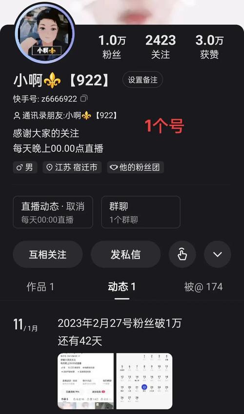 快手评论点赞生态解析,流量价值重构下的用户互动行为研究