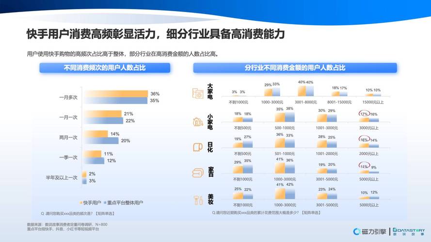 快手评论点赞生态解析,流量价值重构下的用户互动行为研究