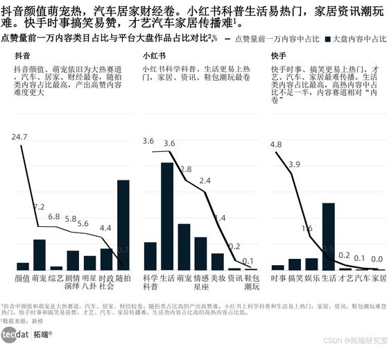 快手点赞工作室,数字时代内容生态下的新兴产业形态与行业观察