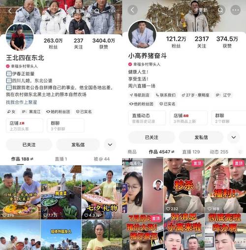 快手粉丝经济新观察,3元1000粉自助下单平台的行业生态与风险解析