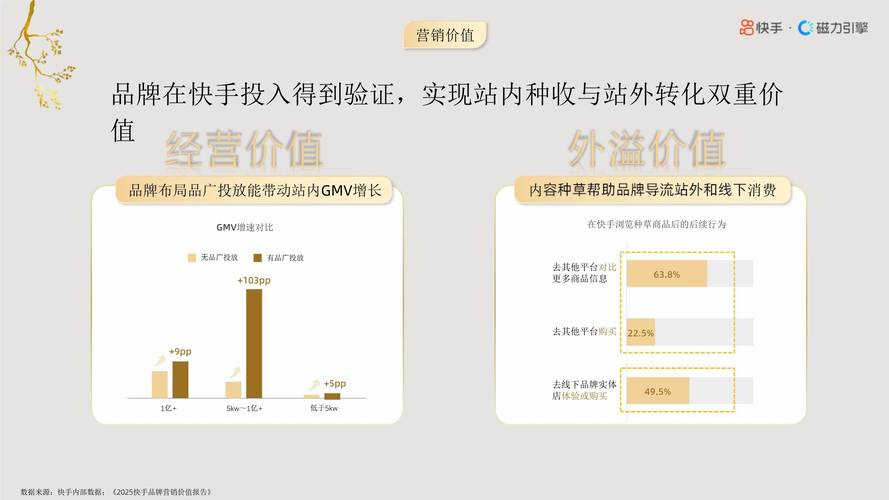 快手业务生态中下单成本优化策略,探寻最经济高效的业务下单路径