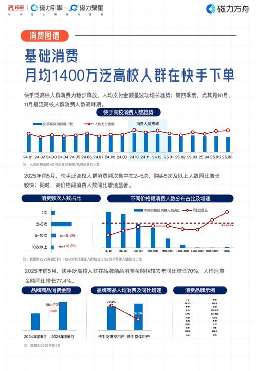 快手生态下的流量变现新路径,24小时双击业务与点赞经济的行业洞察与运营策略