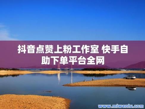 揭秘网络新服务,涨点赞1元1000个赞,高效助力内容传播