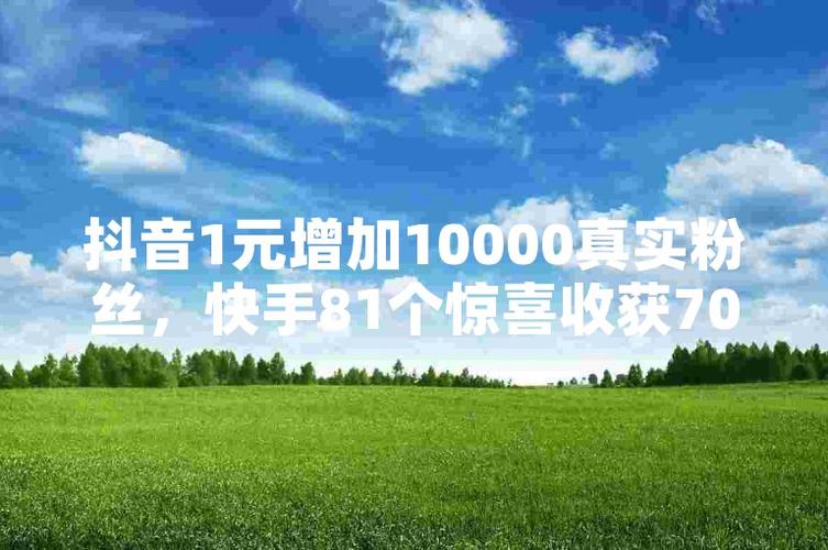 全网业务自助下单平台-抖音1元10000个赞