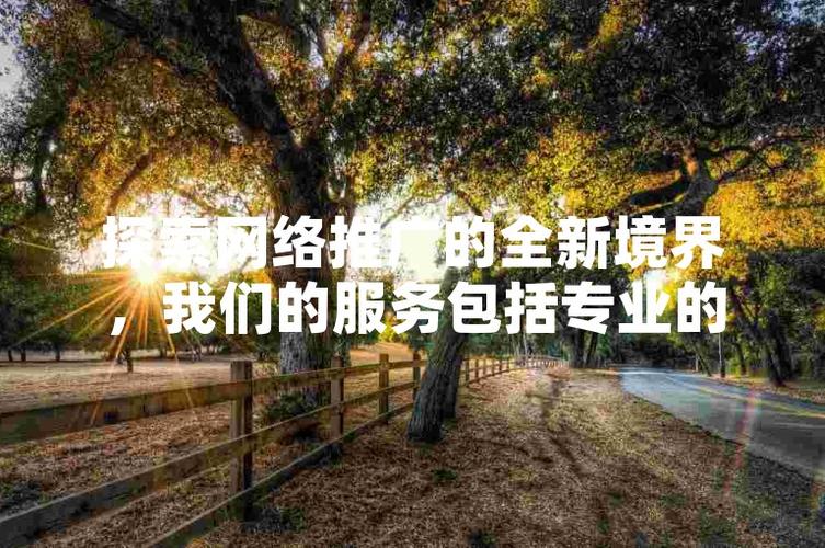 ks粉丝网-ks业务网站