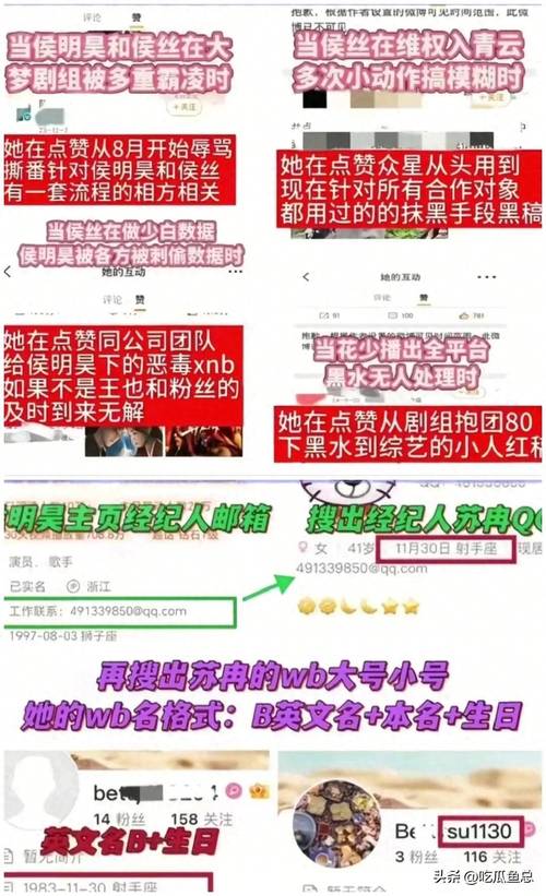 什么是快手粉丝-ks点赞1元100赞24小时