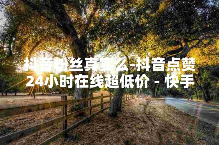 ks评论买赞的平台-快手业务低价自助平台超低价 秒到账-快手业务低价自助平台超低价 秒到账