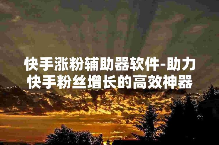 ks业务平台购买平台-快手涨粉丝软件-快手涨粉丝软件