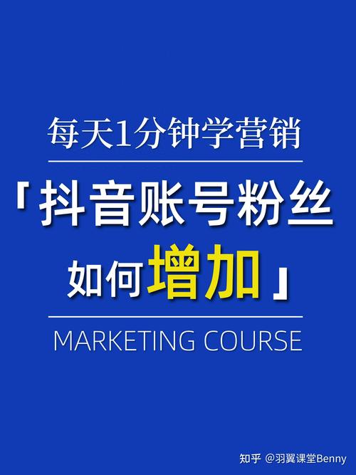快手粉丝关注业务-揭秘涨粉背后的门道与实战技巧