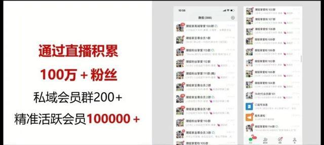 涨粉丝1元1000个粉丝-揭秘低价涨粉背后的真相与风险