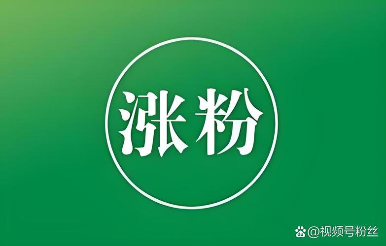 ks粉丝10元一万-揭秘低价涨粉背后的真相与风险