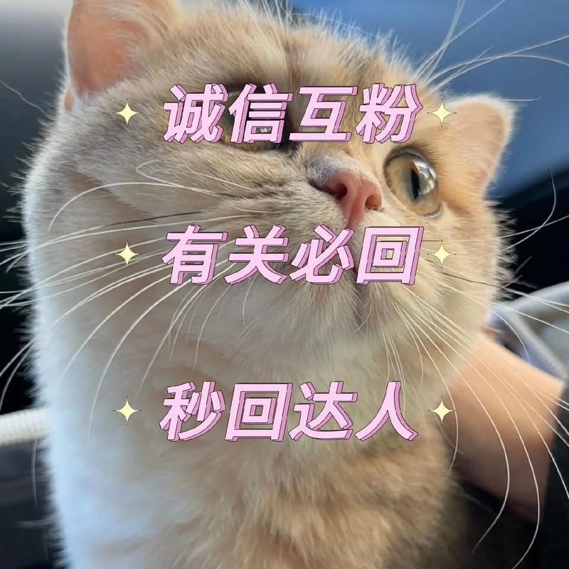 抖音点赞点赞下单平台便宜-dy涨点赞1元1000-dy涨点赞1元1000