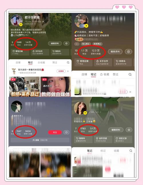 低价涨粉平台-揭秘背后的真相与风险，小心别踩坑！