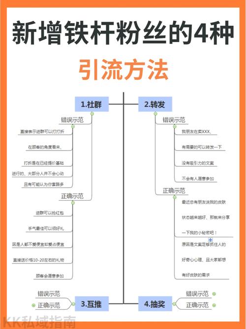 ks粉丝网址-精准引流与高效互动的秘密武器