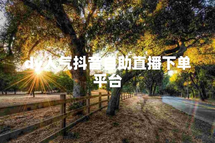 dy粉丝点赞自助平台-dy赞自助下单-dy赞自助下单