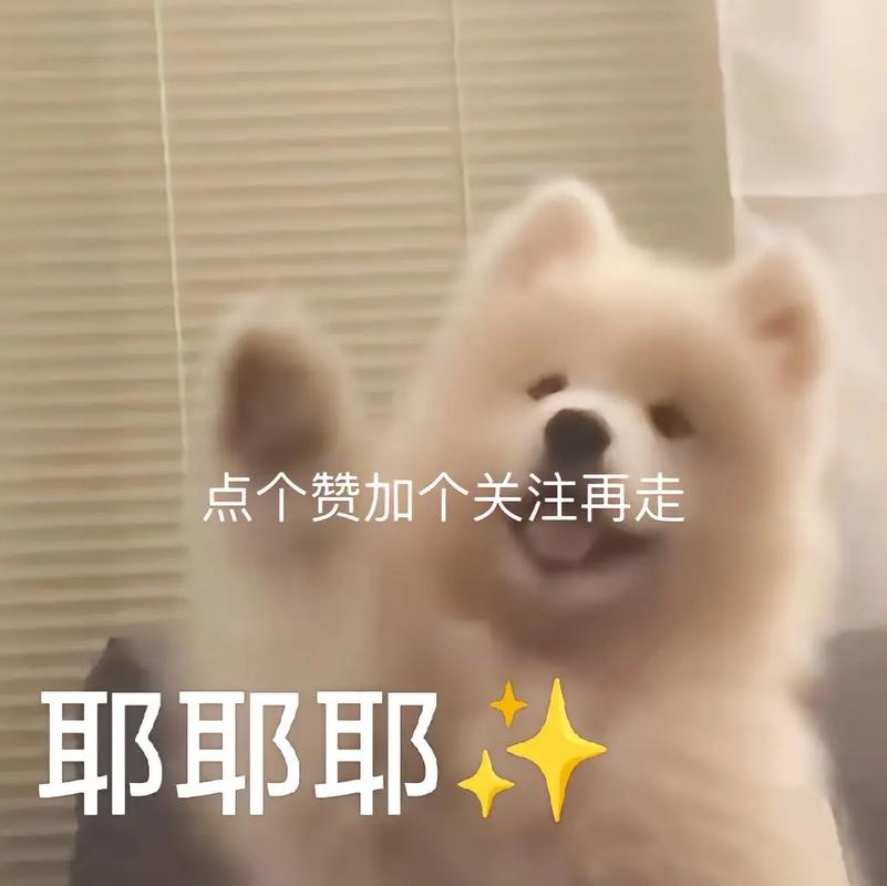 抖音点赞运营-dy点赞关注-dy点赞关注