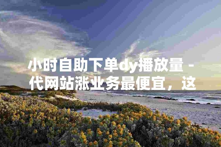 抖音粉丝业务网站-抖音dy粉丝自助业务-抖音dy粉丝自助业务