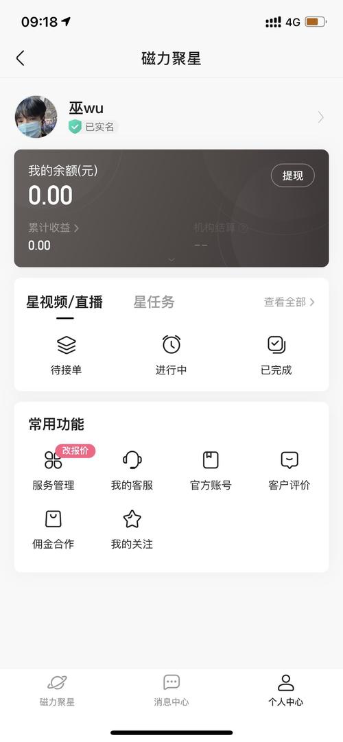 快手1元1w粉的软件-揭秘背后真相与潜在风险
