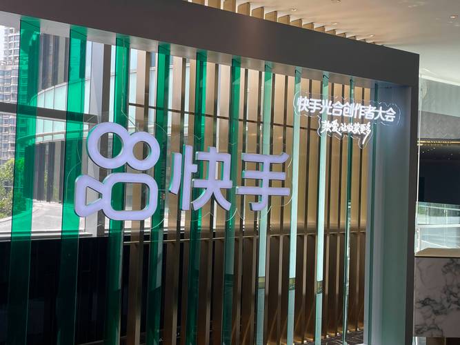 快手1元1w粉的软件-揭秘背后真相与潜在风险