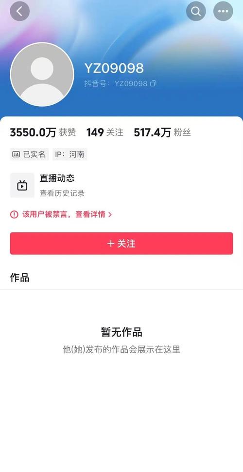 ks粉丝3元1000个赞-揭秘低价刷量背后的真相与风险