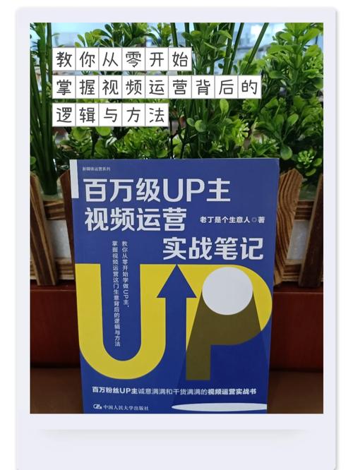 ks粉丝业务自主-从零开始打造个性化粉丝运营策略