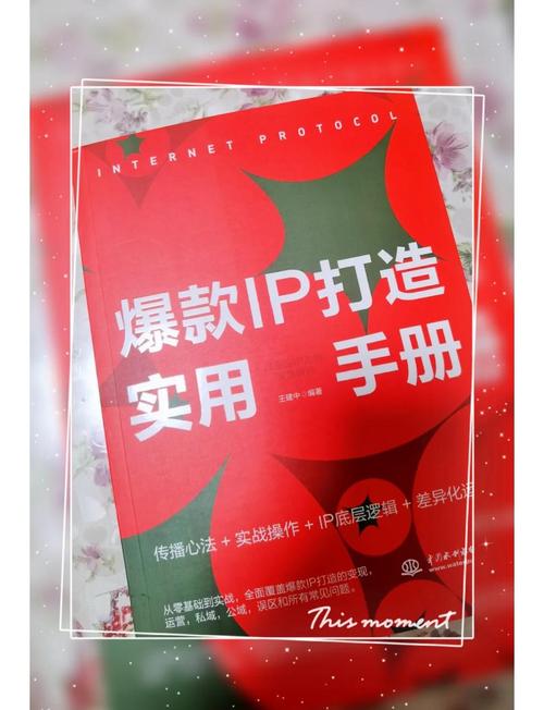 快手粉丝业务自主-从零开始打造个人IP的实战指南