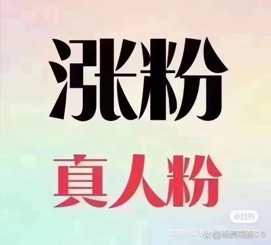 快手一元1000个粉丝-揭秘低价涨粉背后的真相与风险
