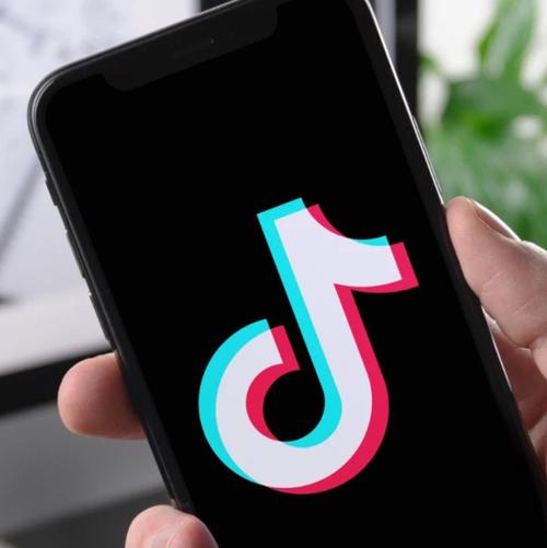 抖音粉丝充值网站-粉丝dy自助业务下单网站-粉丝dy自助业务下单网站