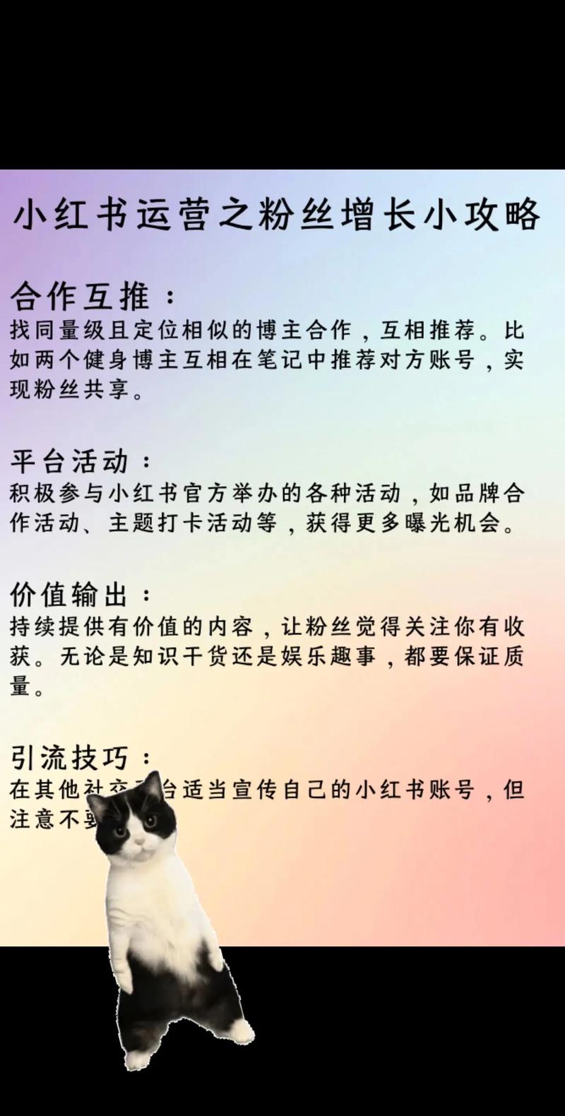 dy如何买粉丝-dy点赞运营-dy点赞运营