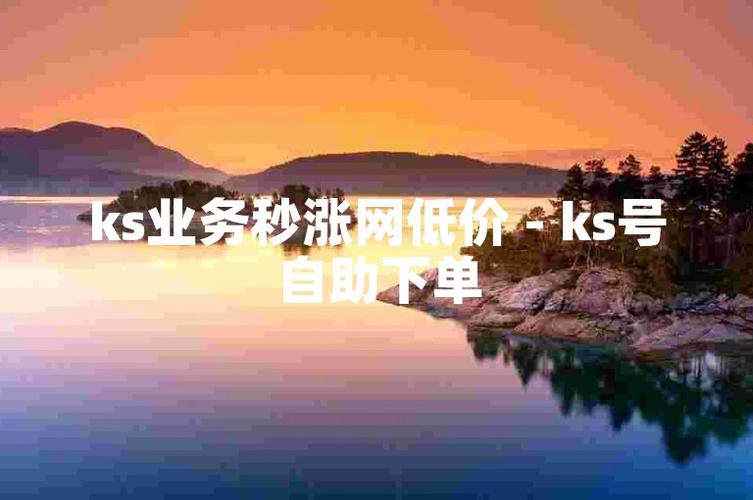 ks业务低价自助平台超低价 秒到账-快速便捷的网络服务新选择