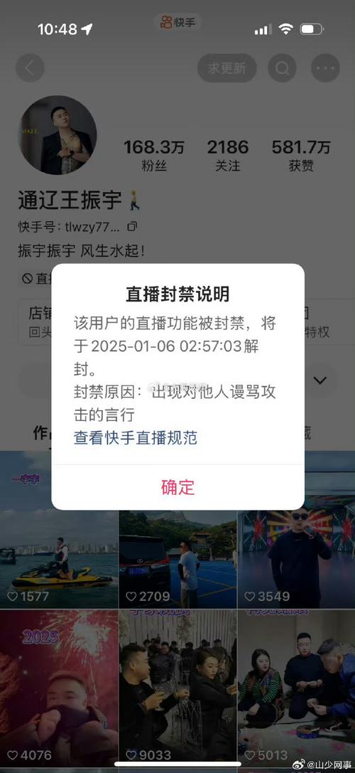 快手免费点赞代网-揭秘背后的真相与风险大起底