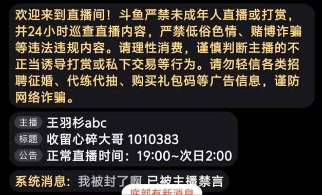 dy业务下单24小时最低价-dy粉丝量-dy粉丝量